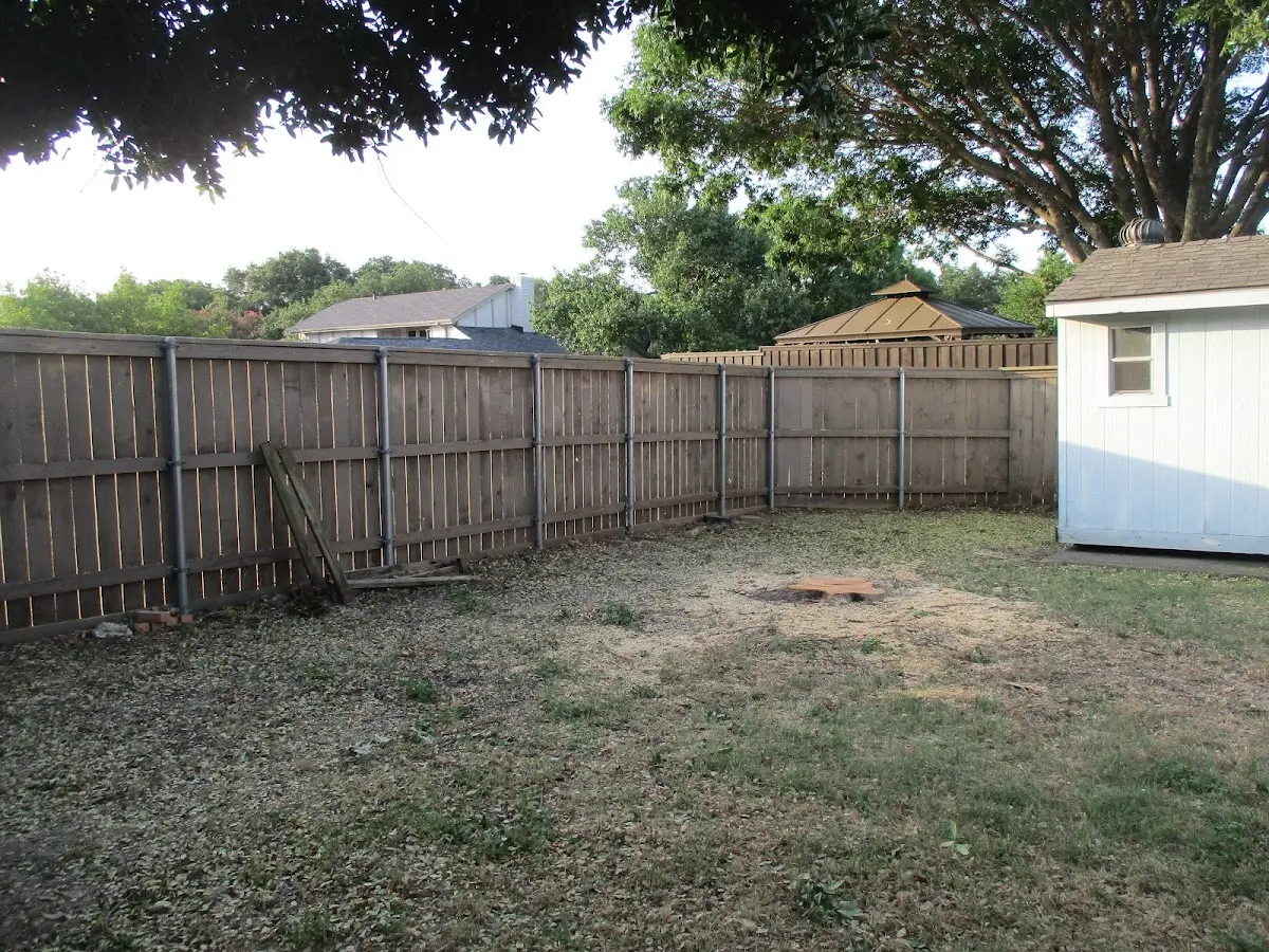 Cleared yard after professional tree removal in Melcroft
